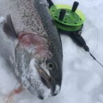 Laponia wyprawa na ryby