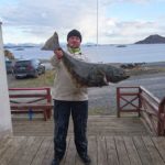 Łowienie ryb Lofoty, wyjazdy grupowe