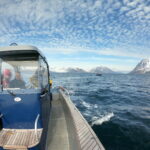 Norwegia na ryby